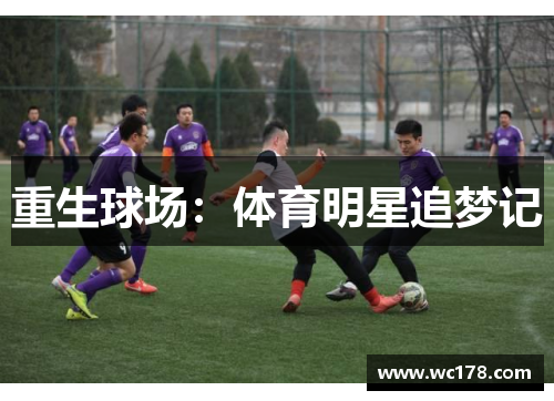 重生球场：体育明星追梦记